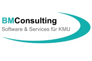 BM Consulting